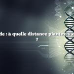 Réponse rapide : à quelle distance plantez-vous de la laitue ?